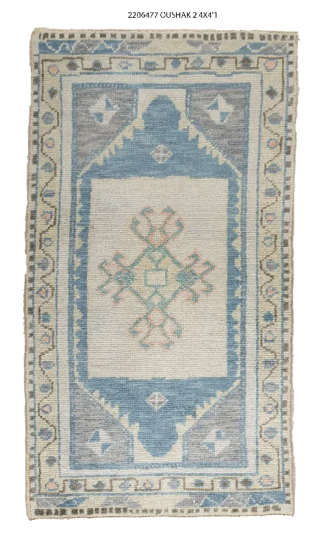 2x4 Modern Oushak Area Rug