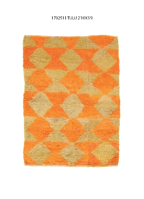 3x4 Modern Tulu Area Rug